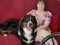 Baxter at Home with Lyn