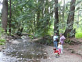 At the Creek