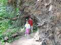 Ella and Max under a Fallen Tree