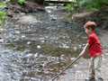 Max Stirring up the Waters