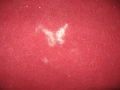 Image on Blanket
